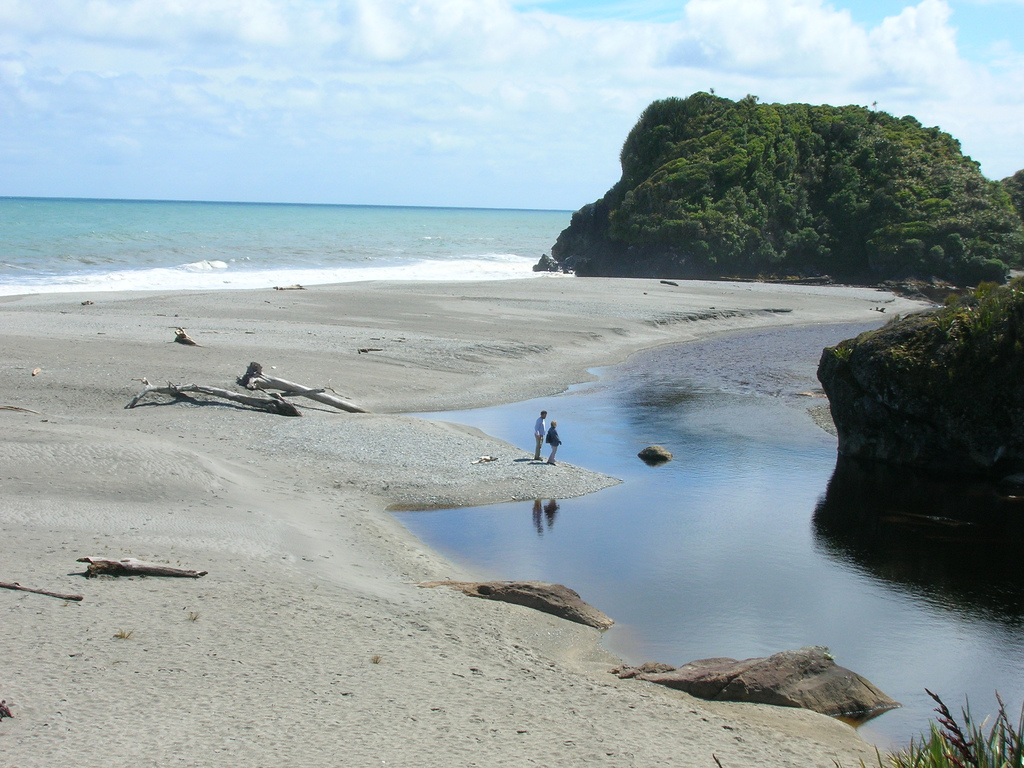 WharekaiTe Kou Walk Jackson Bay, West Coast, NZ 2 travel reviews