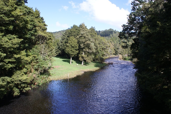 Dickey Flat Campsite Kaimai Mamaku Forest Park Bay Of Plenty Nz 40 Travel Reviews For Dickey Flat Campsite Kaimai Mamaku Forest Park