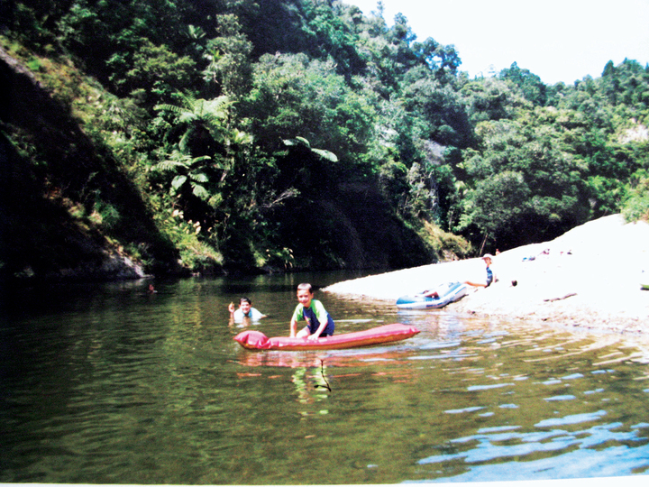 Forest Pools Campsite - Puketi Forest