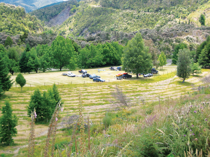 Everetts Camping Ground - Mohaka Recreation Reserve