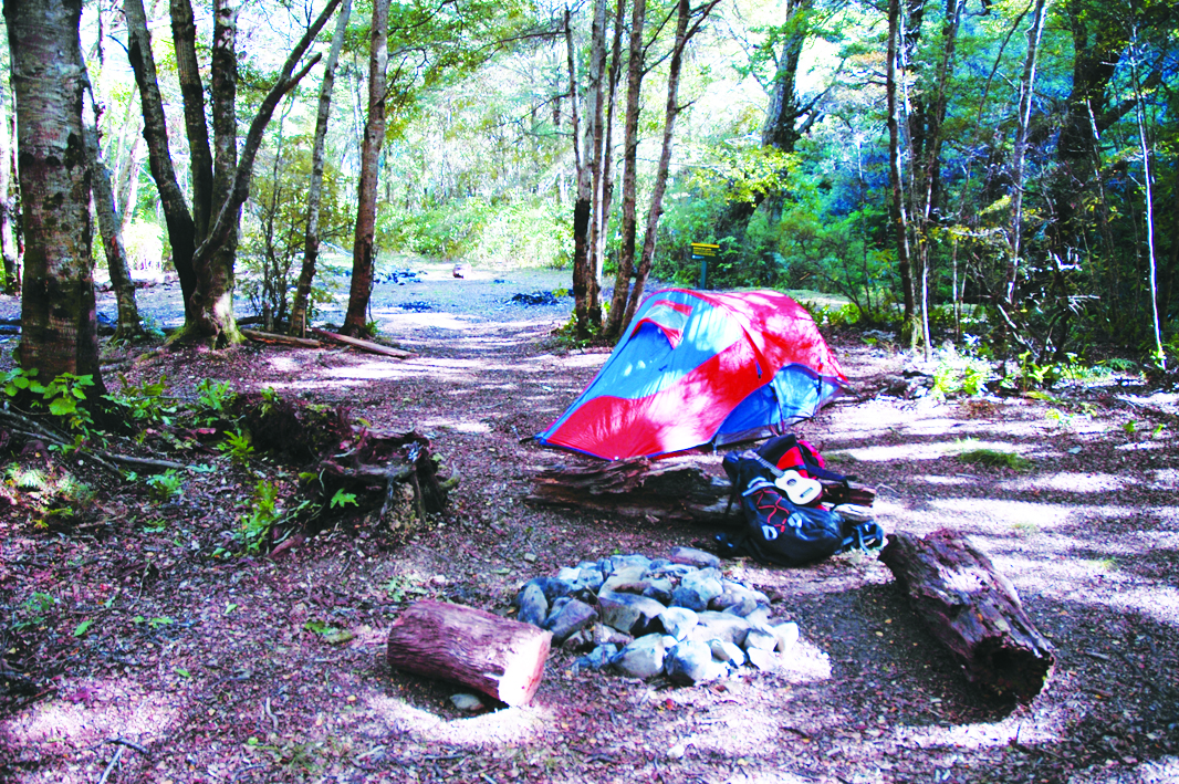 Graces Stream Campsite Rimutaka Forest Park Wellington Region Nz 0 Travel Reviews For Graces Stream Campsite Rimutaka Forest Park