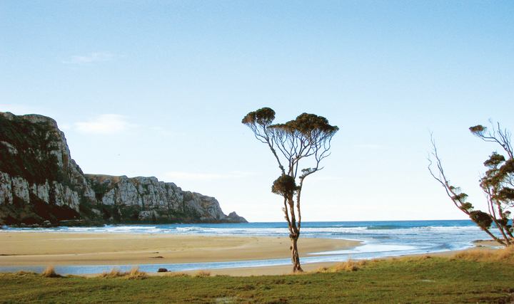 Purakaunui Bay Camping Ground