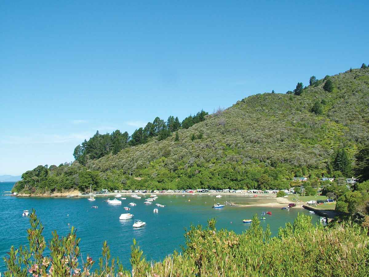 Momorangi Bay Camping Ground Queen Charlotte Sound, Marlborough, NZ