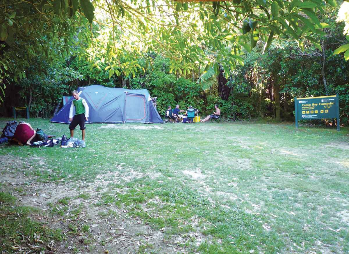 Camp Bay Campsite Queen Charlotte Sound, Marlborough, NZ 3 travel