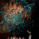 Waitomo Glowworm Caves