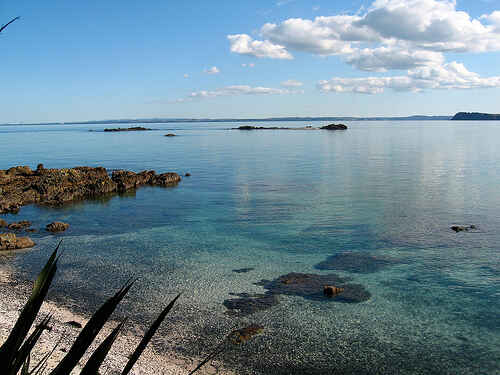 Boat cruise + birdlife haven