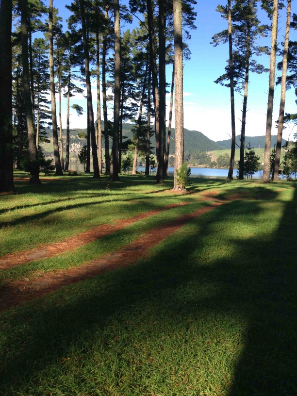 Whakamaru Domain Camping Area, Waikato, NZ 3 travel reviews for Whakamaru Domain Camping Area