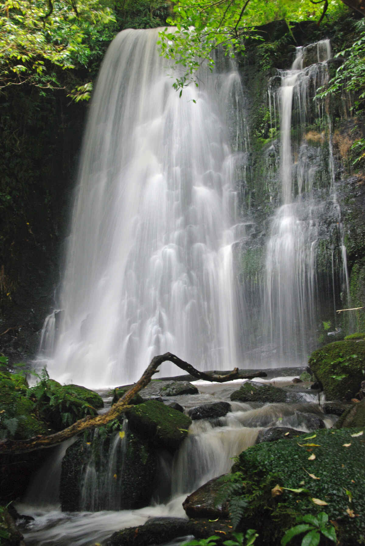 Matai Falls / Horseshoe falls walk Catlins, Southland, NZ 4 travel