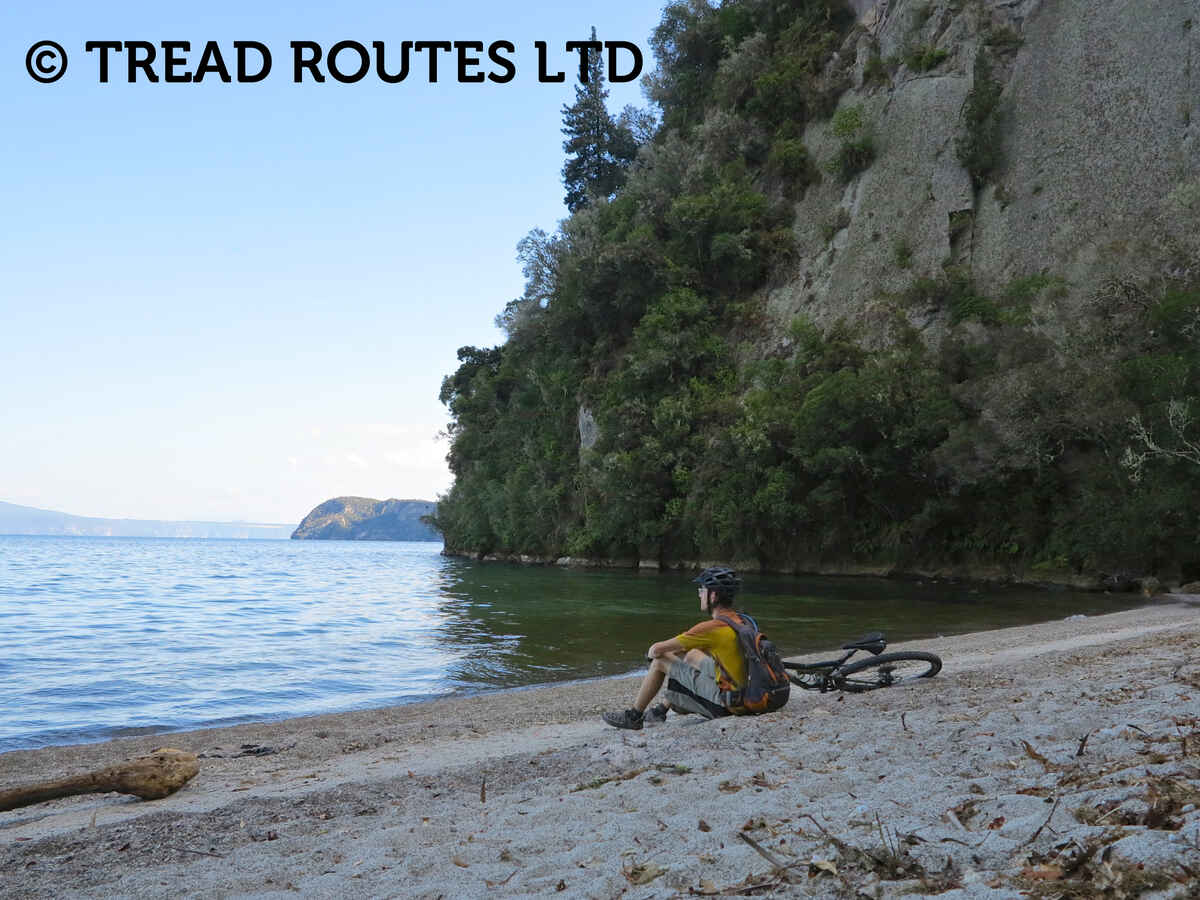 An idyllic beach on Taupo's Great Lake Trail