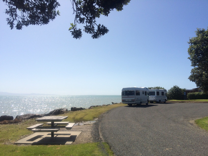 Waiomu Domain Beachfront Reserve - Overnight Campervan Parking