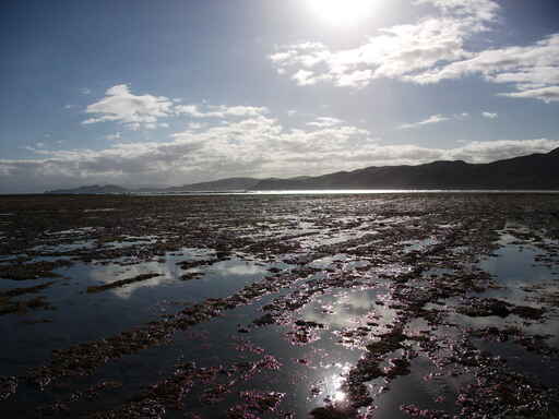 Swimming, Surfing, Rock Pools, Cruising....