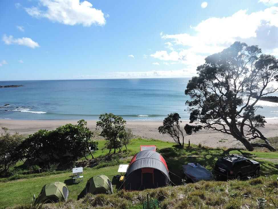Motutara Farm Camp Whananaki , Northland, NZ 6 travel reviews for