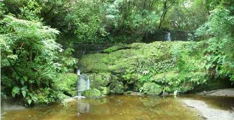Walk or picnic in a secluded bush valley 
