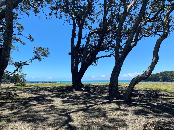 Maraehako Camping Ground - Main photo