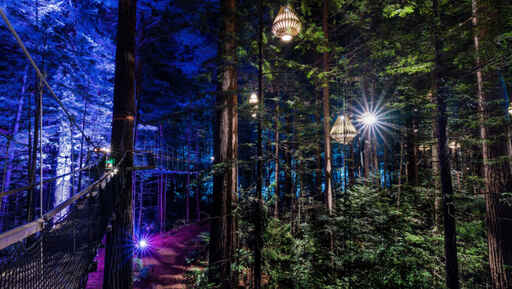 Light adventure for all ages