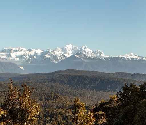 Glacier Valley Eco Tours