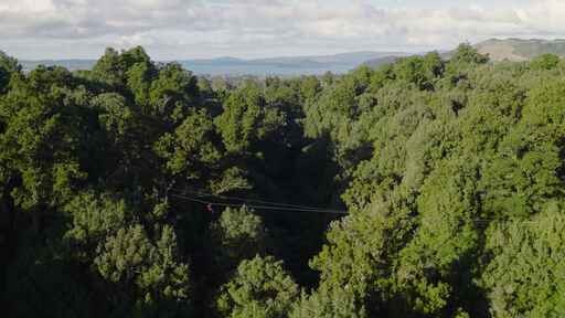 Rotorua Canopy Tours