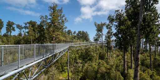 West Coast Treetop Walk and Cafe