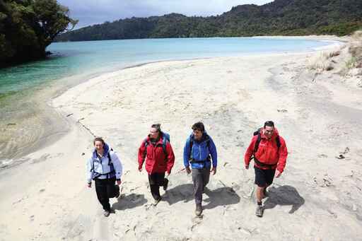 Kiwi Wilderness Walks