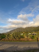 Gentle Annie in the Golden Hour