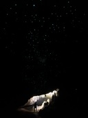 Magic Glowworms