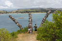Exploring Rotoroa Island