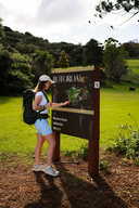 Rotoroa Island 
