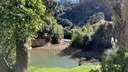 Waterhole at Dickson Holiday Park