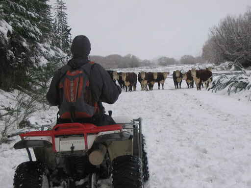Backtrax Quad Bike Tours