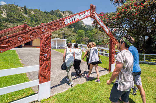 Overnight Marae Stay