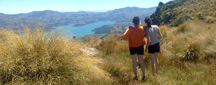 Photo stops at 700 meters altitude on the crater rim of Akaroa extinct volcano
