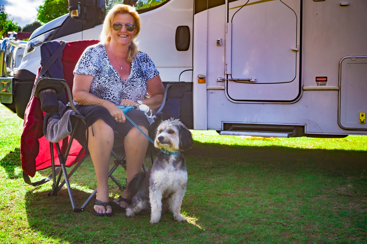 Sites for dogs and their humans.